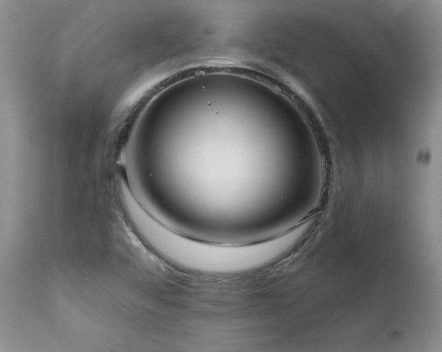 X0000111161456200906301349