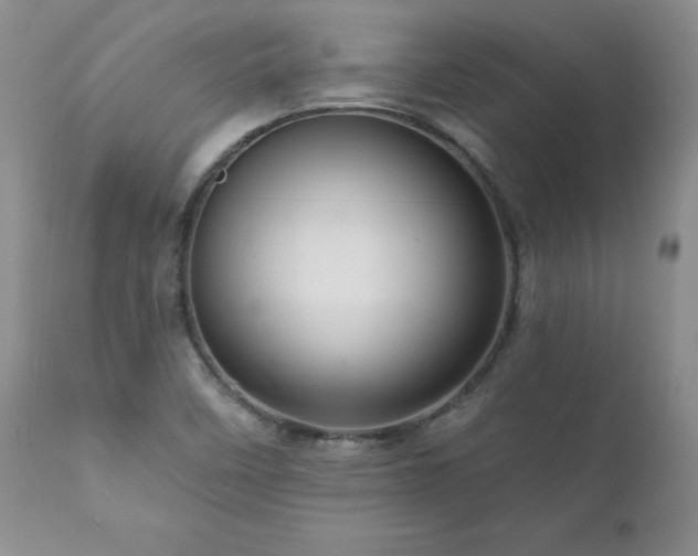 X0000111161458200906301349