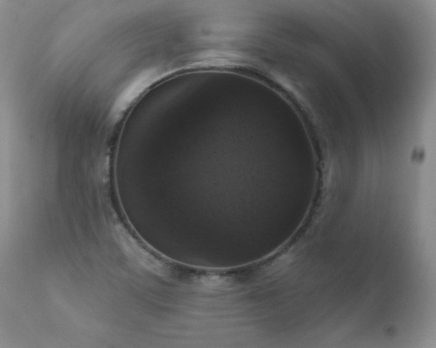 X0000111161459200906301349