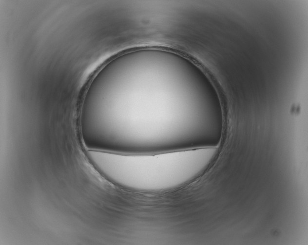X0000111161460200906301349