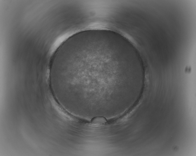 X0000111161461200906301349
