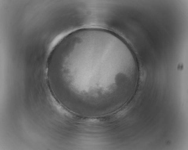 X0000111161462200906301349