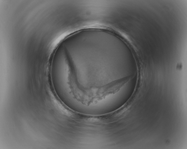 X0000111161463200906301349