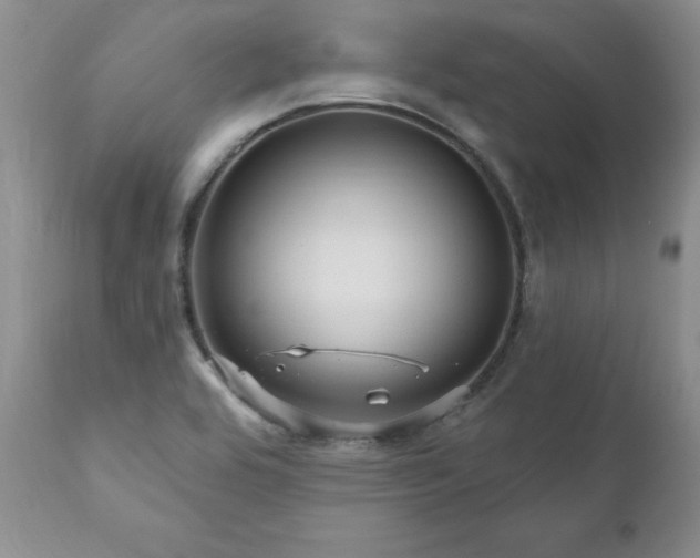 X0000111161464200906301349