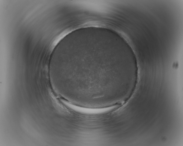 X0000111161465200906301349