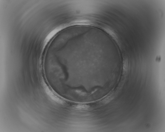 X0000111161466200906301349