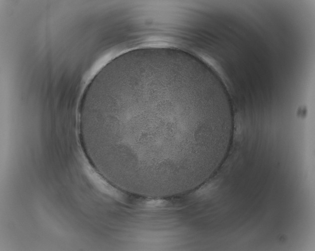 X0000111161467200906301349