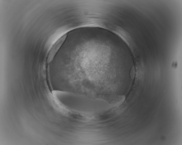 X0000111161468200906301349