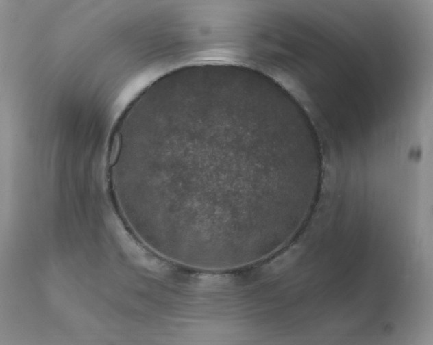 X0000111161469200906301349