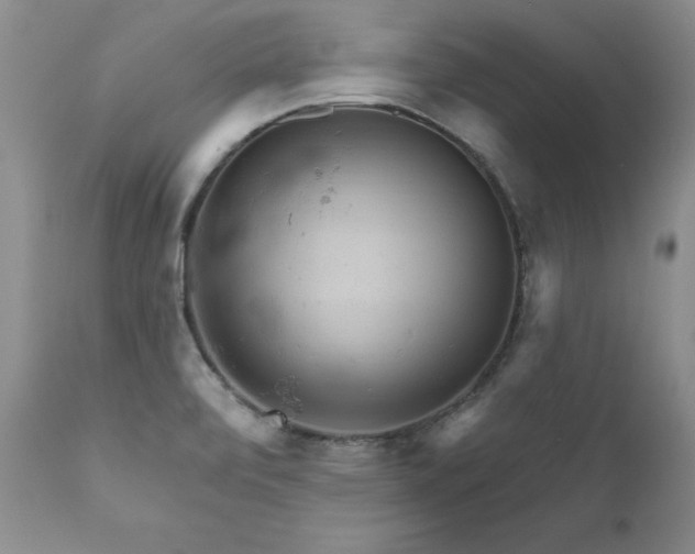 X0000111161472200906301349