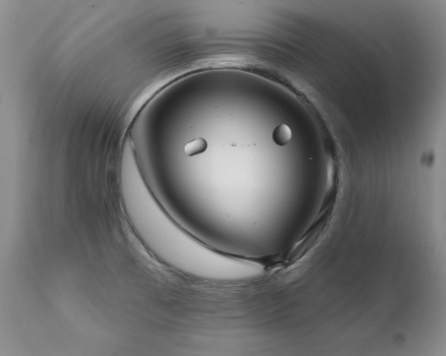 X0000111161473200906301349