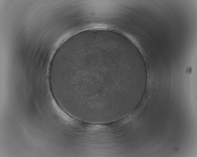 X0000111161475200906301349