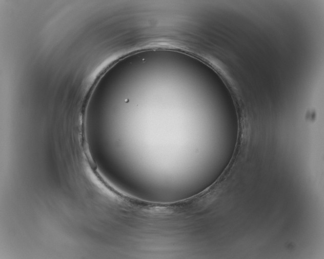 X0000111161476200906301349
