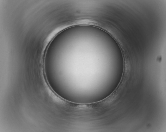 X0000111161478200906301349