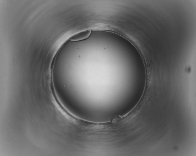 X0000111161479200906301349