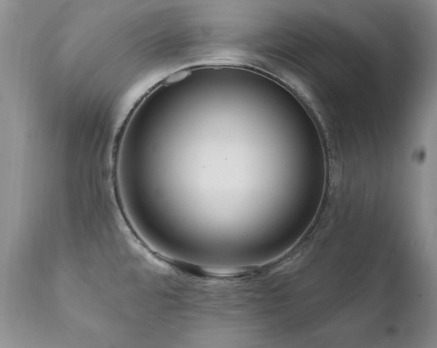 X0000111161480200906301349