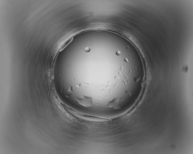 X0000111161481200906301349