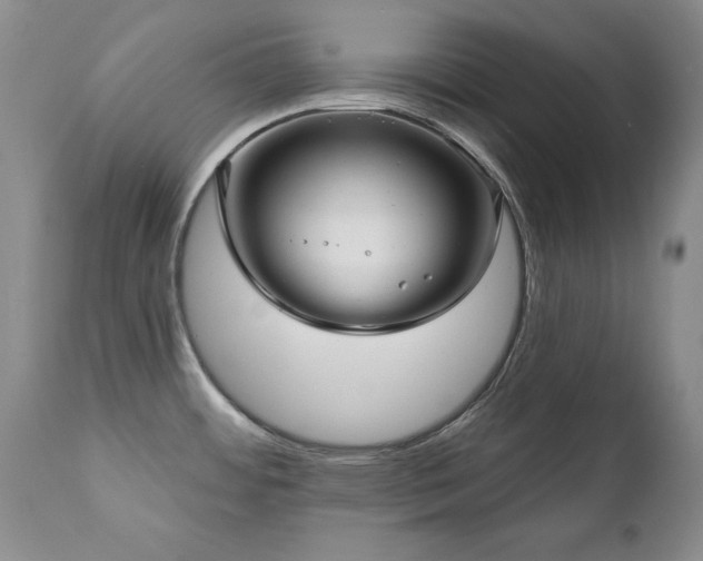 X0000111161484200906301349