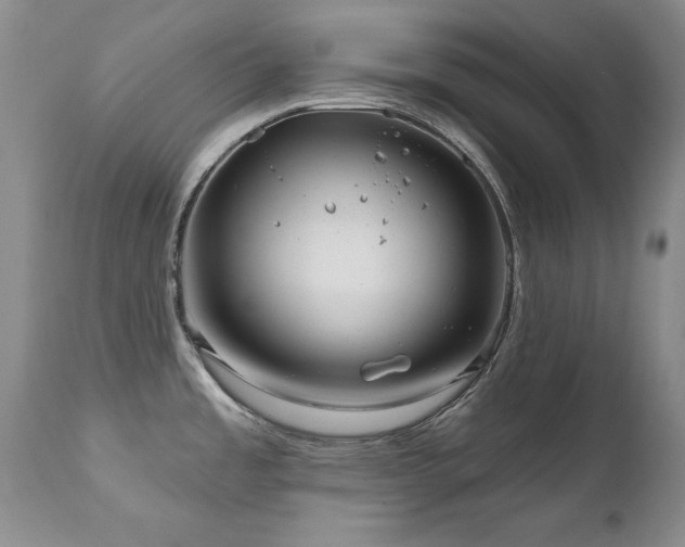 X0000111161485200906301349