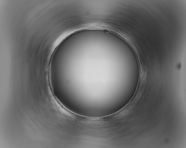 X0000111161486200906301349