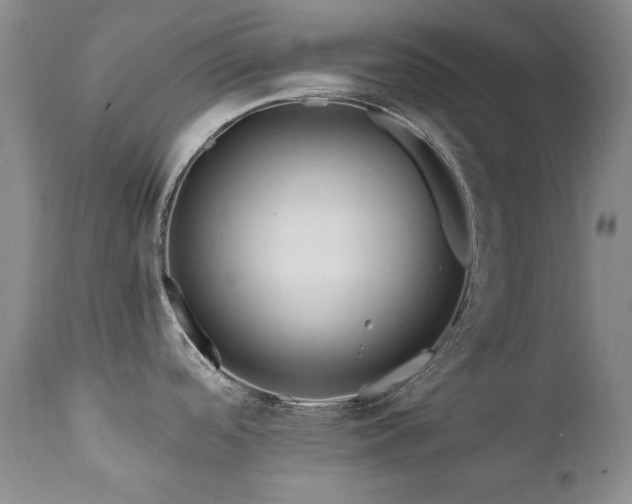 X0000111161488200906301349