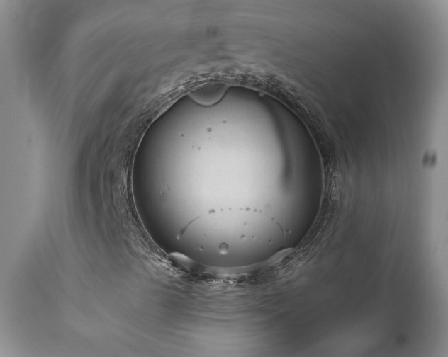 X0000111161489200906301348