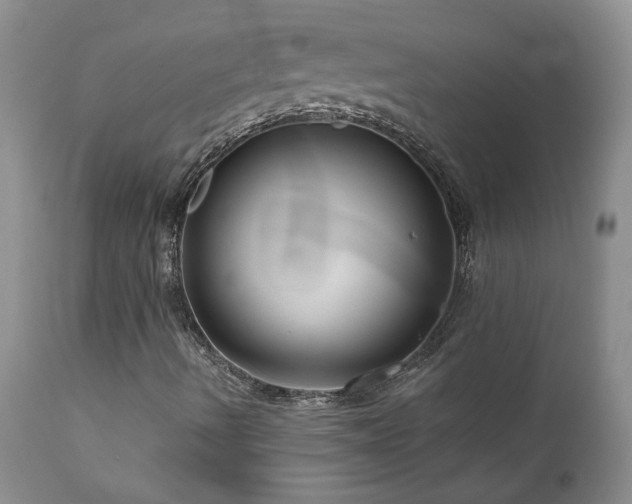 X0000111161490200906301348