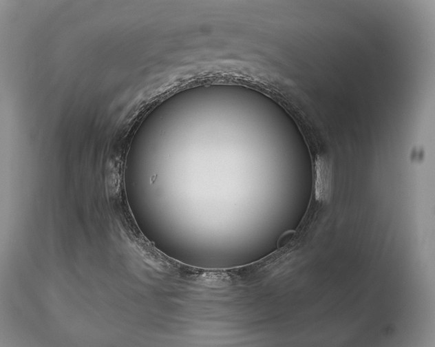 X0000111161491200906301348
