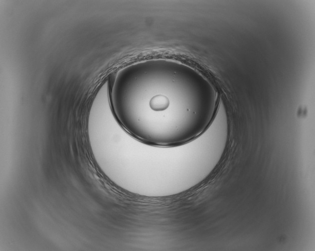 X0000111161492200906301348