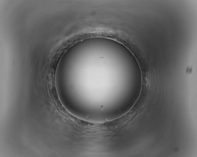 X0000111161493200906301348
