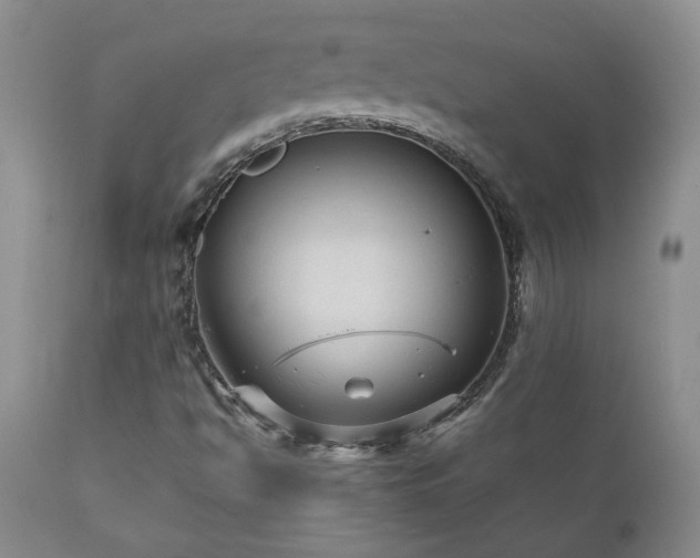 X0000111161494200906301348