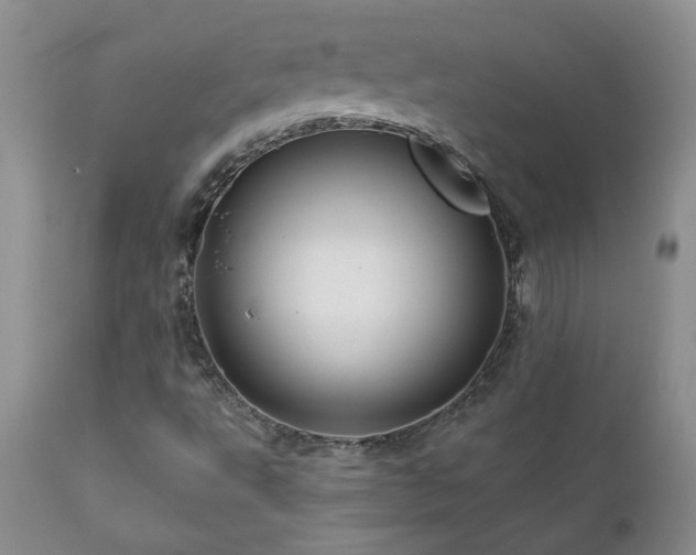 X0000111161495200906301348
