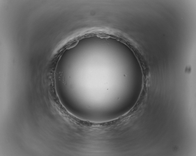 X0000111161496200906301348