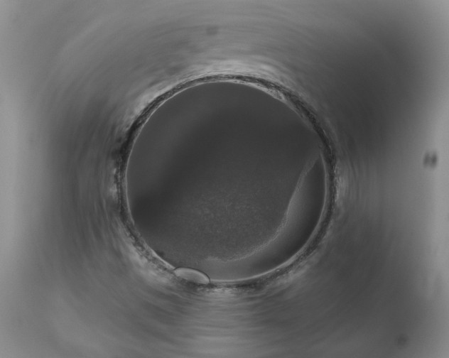X0000111161497200906301348