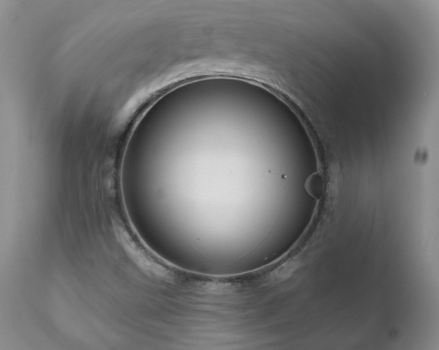 X0000111161499200906301348