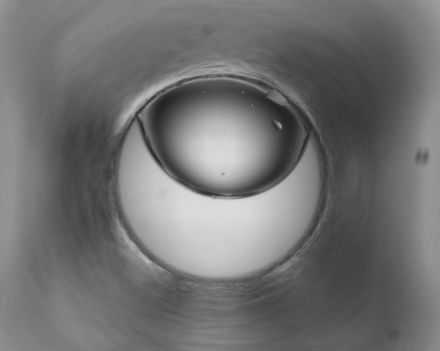 X0000111161500200906301348