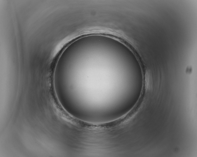 X0000111161501200906301348