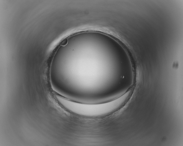 X0000111161502200906301348