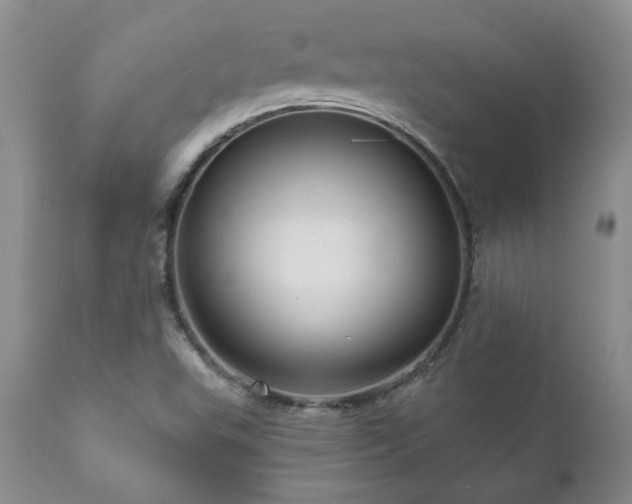 X0000111161503200906301348