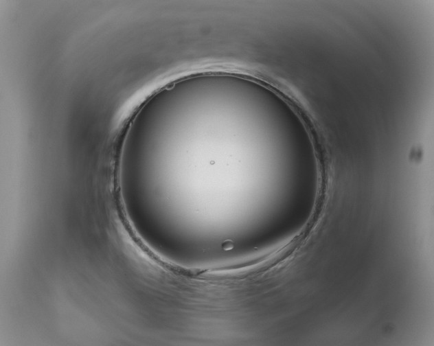 X0000111161504200906301348
