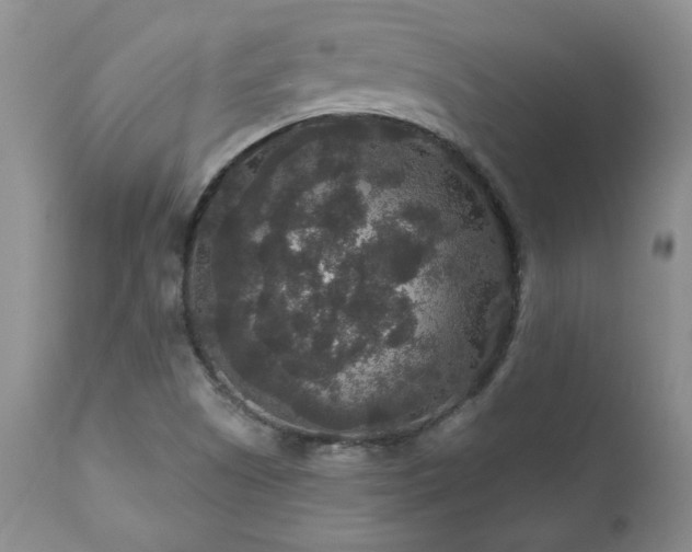 X0000111161505200906301348