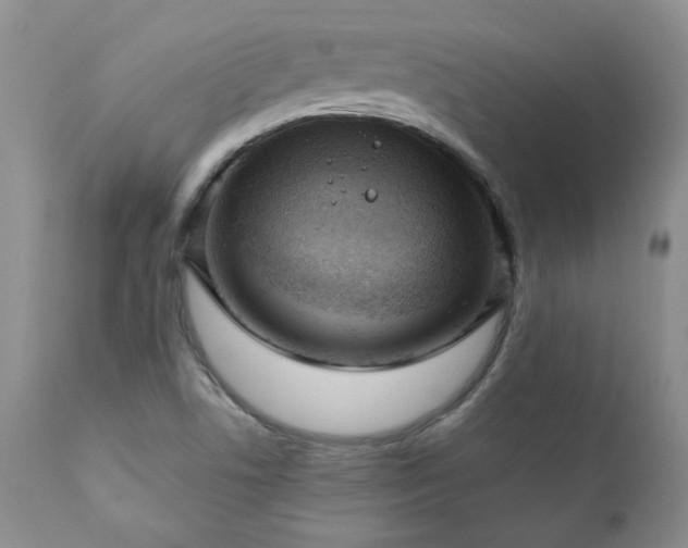 X0000111161506200906301348