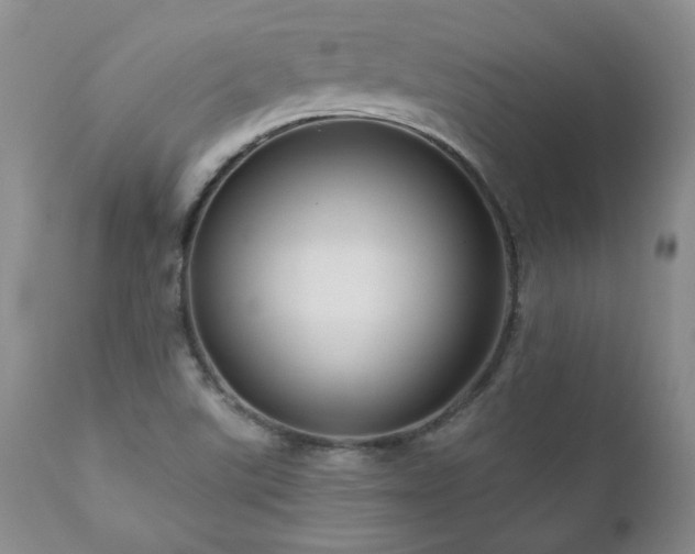 X0000111161507200906301348
