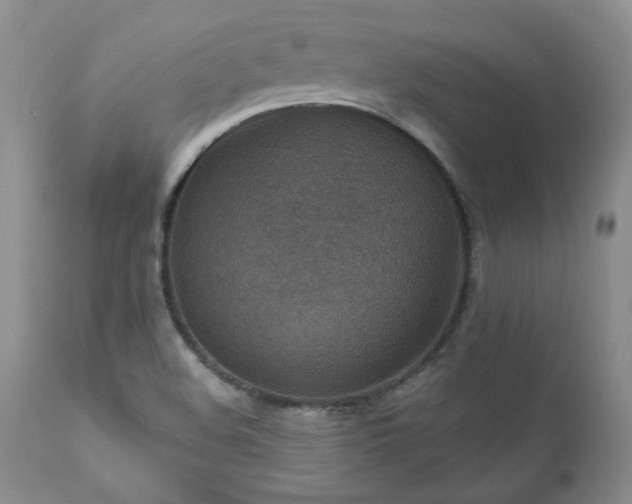 X0000111161508200906301348
