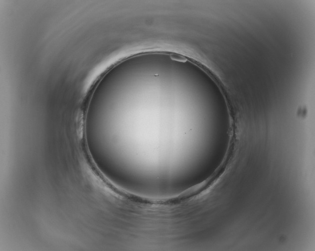 X0000111161510200906301348
