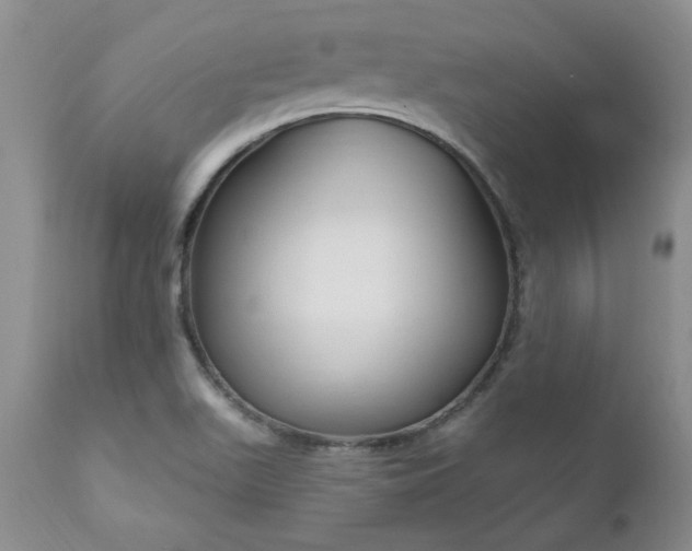 X0000111161511200906301348