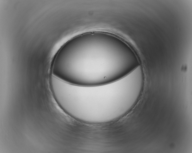 X0000111161512200906301348