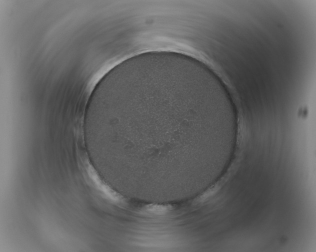 X0000111161513200906301348