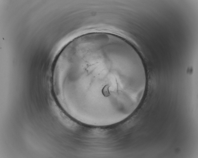 X0000111161514200906301348
