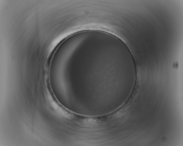 X0000111161515200906301348